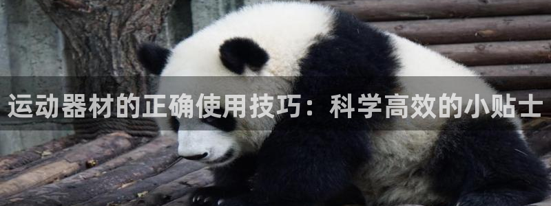 意昂体育4招商电话地址是多少
