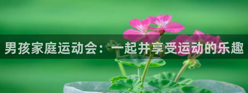 德国意昂4集团：男孩家庭运动会：一起并享受运动的乐趣
