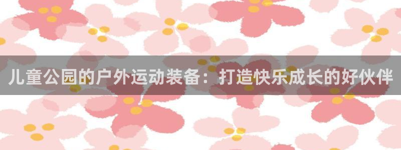 意昂4娱乐40996：儿童公园的户外运动装备：打造快乐成长的