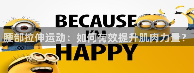 意昂体育4平台注册要钱吗：腰部拉伸运动：如何有效提升
