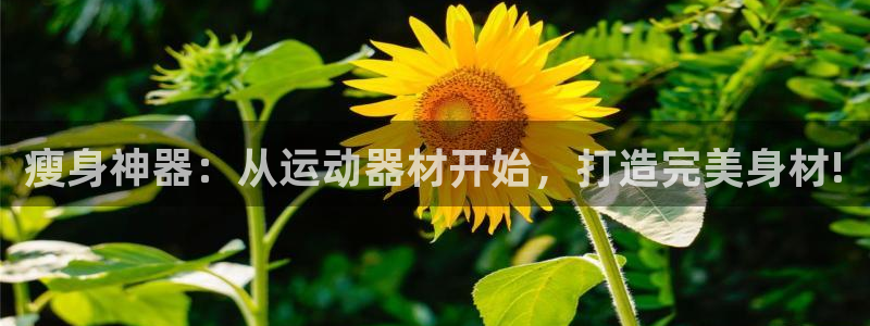 意昂体育4招商电话是多少啊：瘦身神器：从运动器材开始