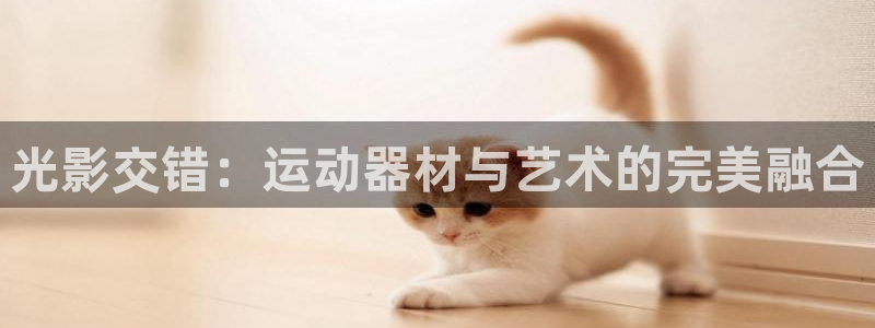 意昂4神州：光影交错：运动器材与艺术的完美融合