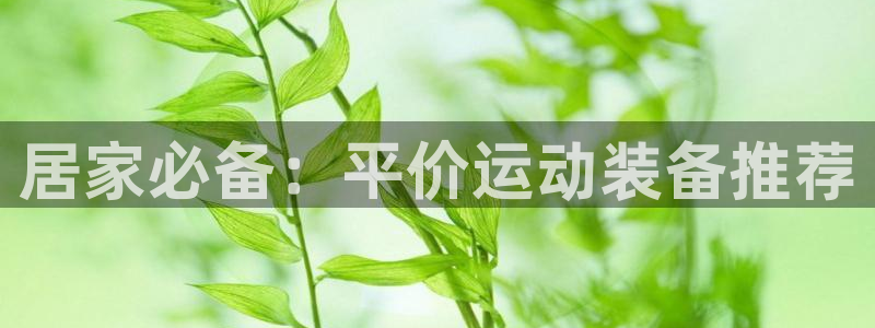 意昂体育4平台假的吗是真的吗：居家必备：平价运动装备