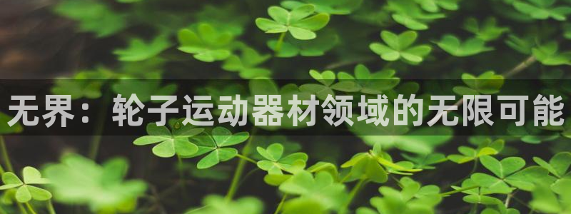 意昂体育4联系电话：无界：轮子运动器材领域的无限可能