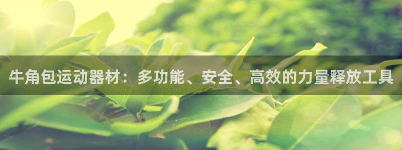 意昂4集团简介：牛角包运动器材：多功能、安全、高效的力量释放
