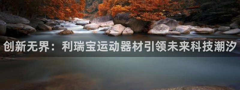 意昂体育4官方客服电话：创新无界：利瑞宝运动器材引领