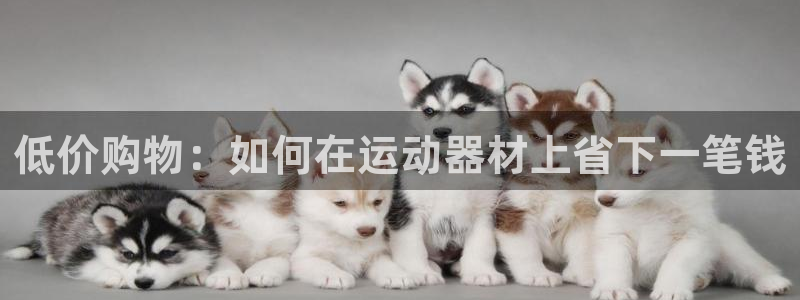 海南意昂体育4：低价购物：如何在运动器材上省下一笔钱