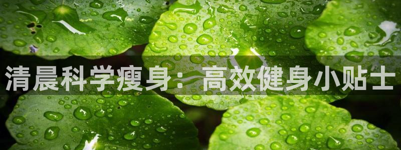 海南意昂体育4发展怎么样：清晨科学瘦身：高效健身小贴