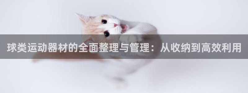 意昂体育4官方客服电话：球类运动器材的全面整理与管理：从收纳