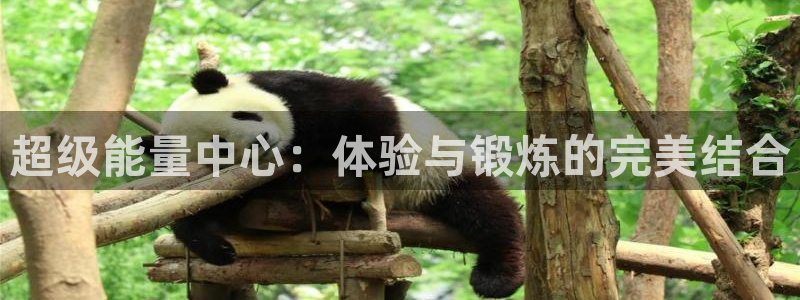 意昂4集团官网首页网址：超级能量中心：体验与锻炼的完美结合