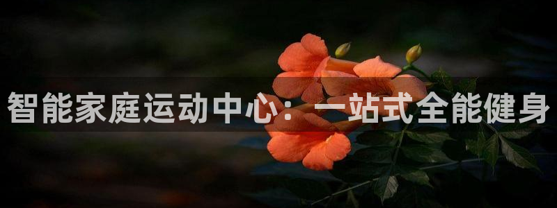 意昂体育4平台是正规平台吗安全吗：智能家庭运动中心：