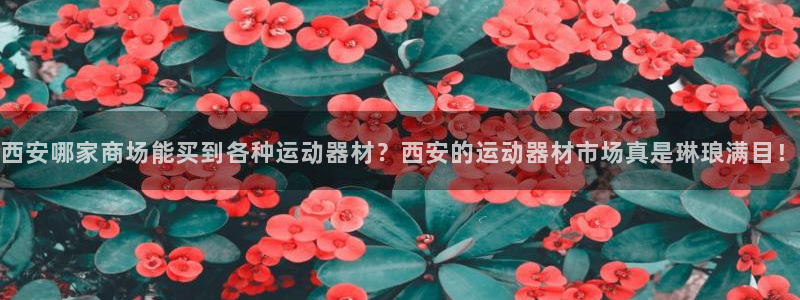 意昂体育4平台注册要钱吗安全吗：西安哪家商场能买到各种运动器