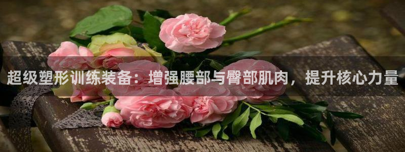 意昂体育4招商电话是多少：超级塑形训练装备：增强腰部与臀部肌