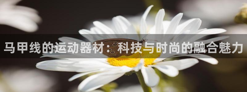 意昂体育4招商：马甲线的运动器材：科技与时尚的融合魅