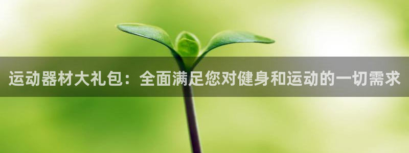 意昂4新能源：运动器材大礼包：全面满足您对健身和运动的一切需