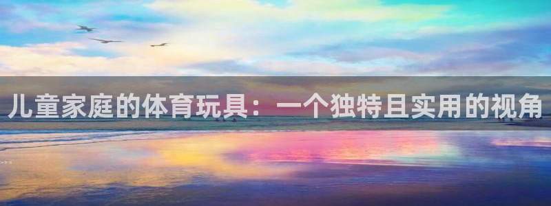 意昂平台体育：儿童家庭的体育玩具：一个独特且实用的视角
